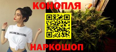 a pvp Гусев